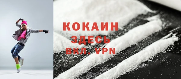 амф Дмитриев