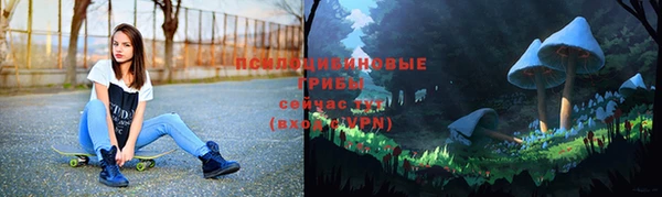 соль курить ск Дмитровск