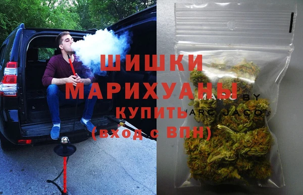 соль ск Дмитров