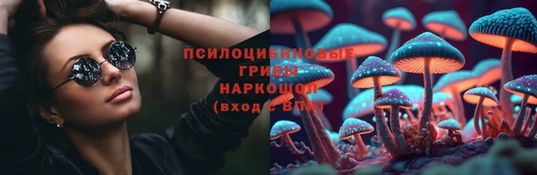 амф Дмитриев