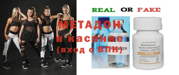 амф Дмитриев
