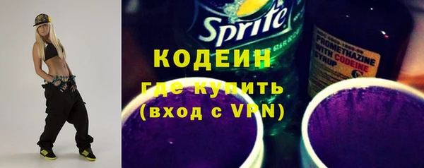 соль ск Дмитров