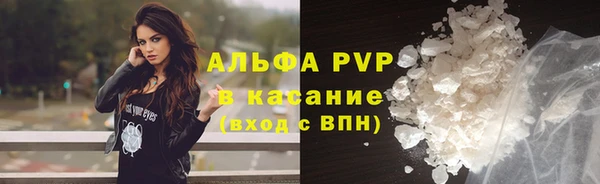 spice Снежногорск