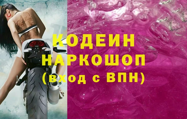 амф Дмитриев