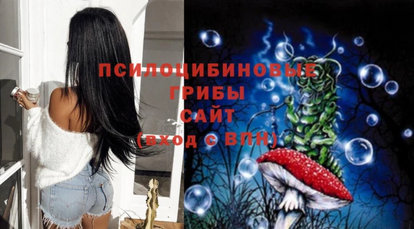 spice Снежногорск
