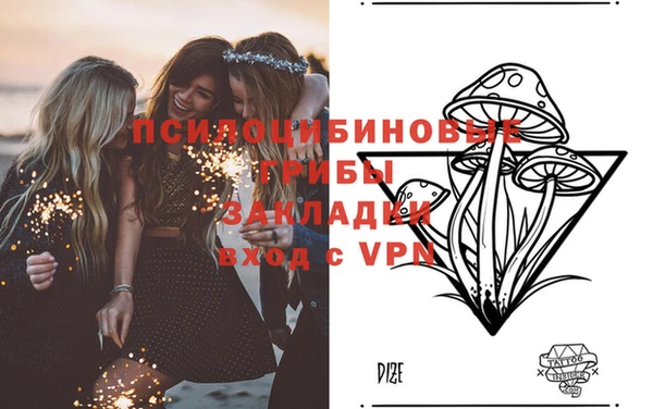 соль ск Дмитров