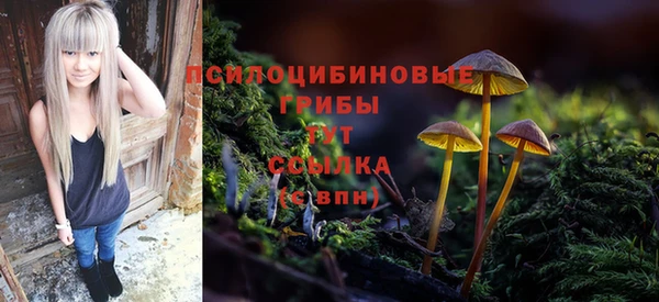 соль ск Дмитров